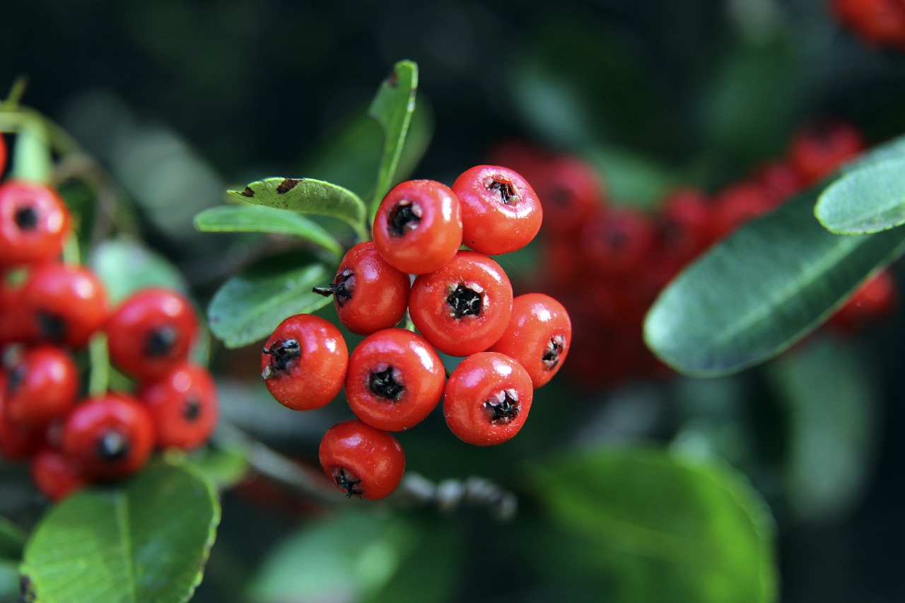 属于更年轻 属于更年轻