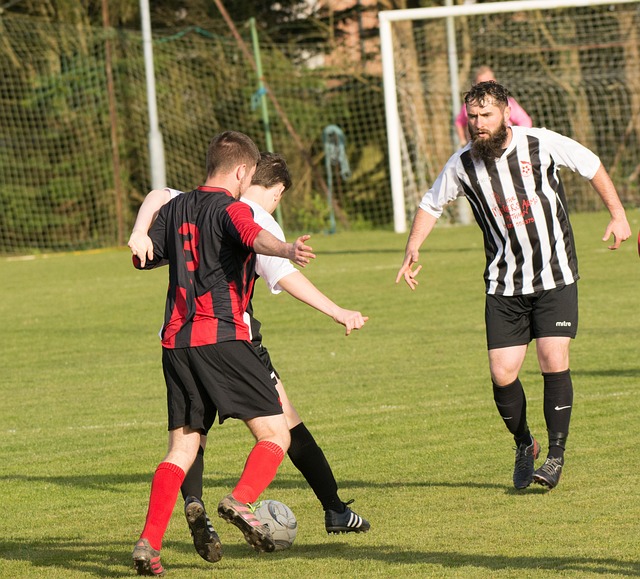 也许答案远 也许答案远